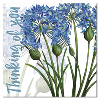 Emma Ball Thinking Of You Agapanthus