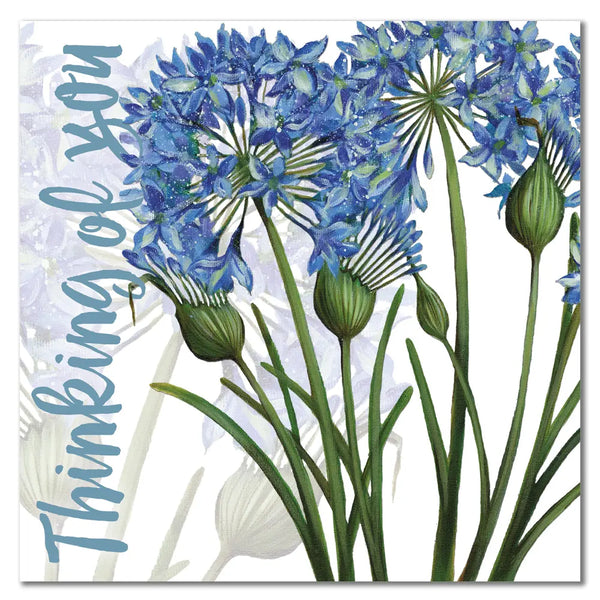 Emma Ball Thinking Of You Agapanthus