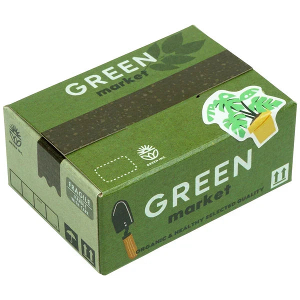Haco Box of Stickers - House Plants