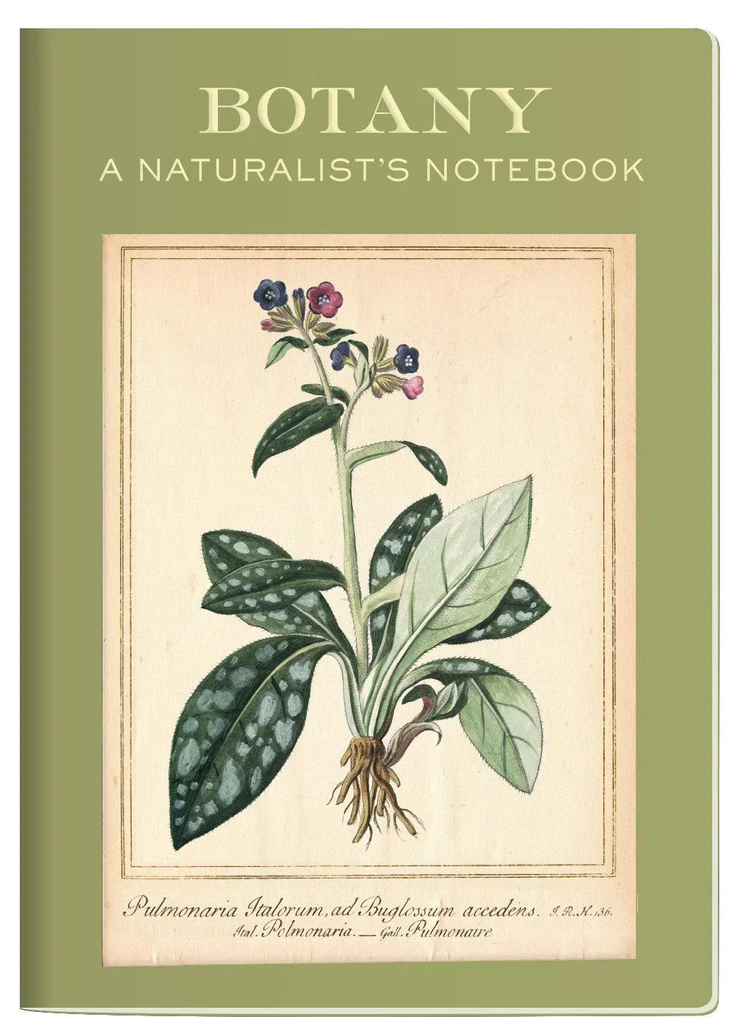 The Unemployed Philosophers Guild Botany Notebook
